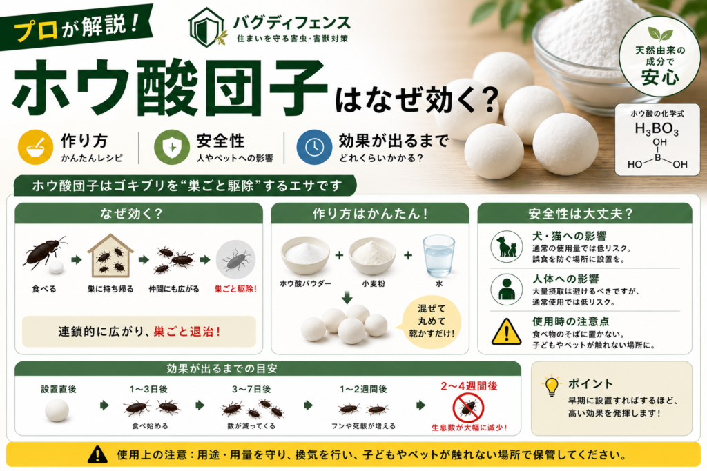 ホウ酸団子はなぜ効く？作り方・安全性・効果が出るまでをプロが解説