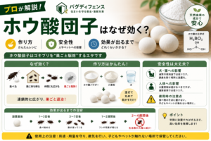 ホウ酸団子はなぜ効く？作り方・安全性・効果が出るまでをプロが解説
