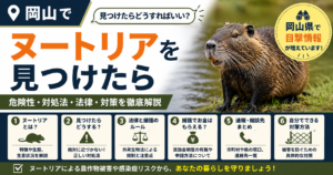 岡山県でヌートリアを見つけたら