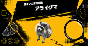 住まいの生態図鑑 アライグマ