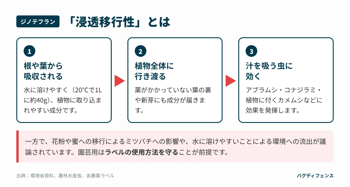 ジノテフランの浸透移行性のイメージ