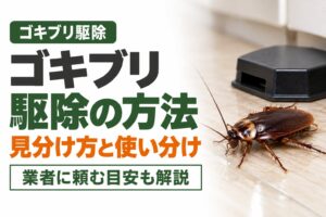 ゴキブリ駆除の方法 見分け方と使い分け