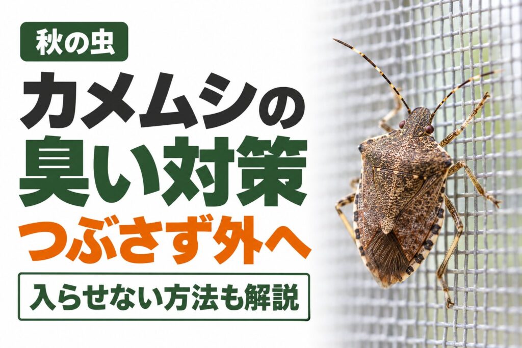 カメムシの臭いと家への侵入｜つぶさずに出す方法と、入らせない対策