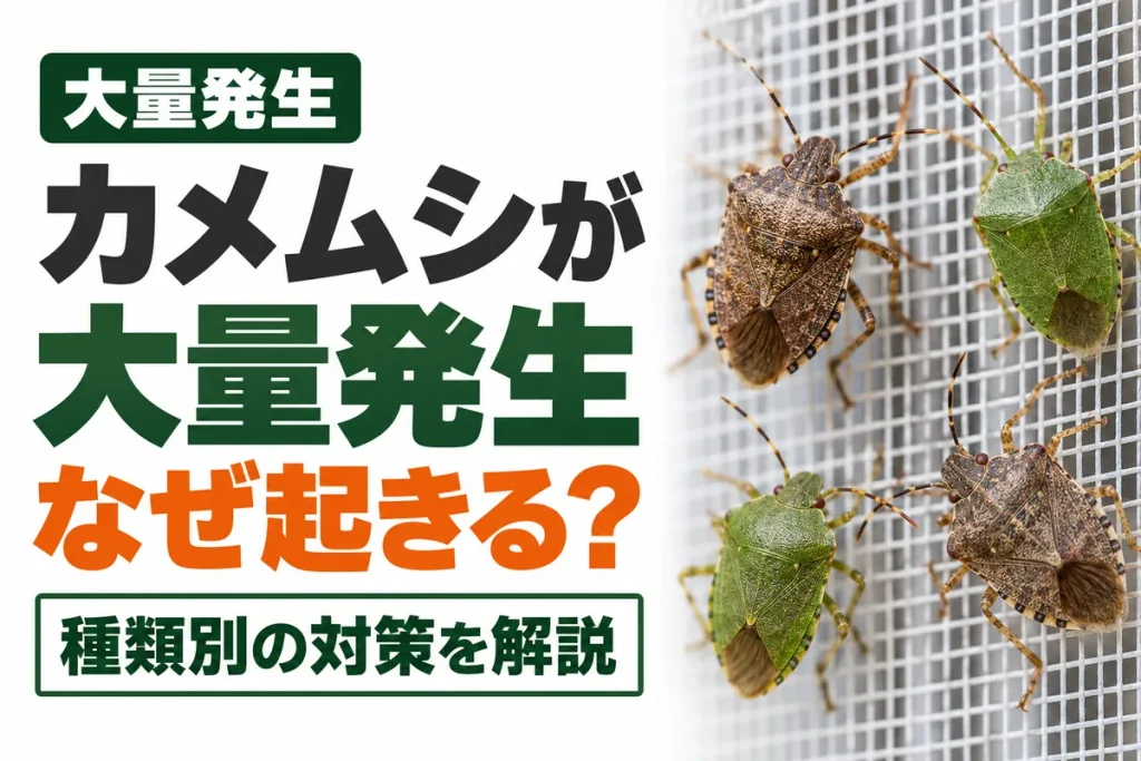 カメムシの大量発生はなぜ起きる？光に集まる緑と、越冬で入る茶色で対策が違う