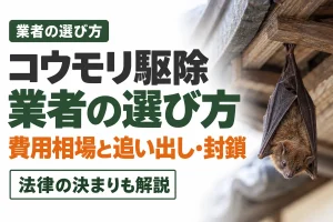 コウモリ駆除業者の選び方と費用相場｜法律で決まっている「追い出し」と封鎖【2026年】