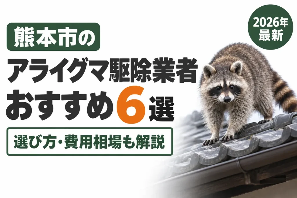 熊本市のアライグマ駆除おすすめ業者6選｜選び方・費用相場も解説【2026年】