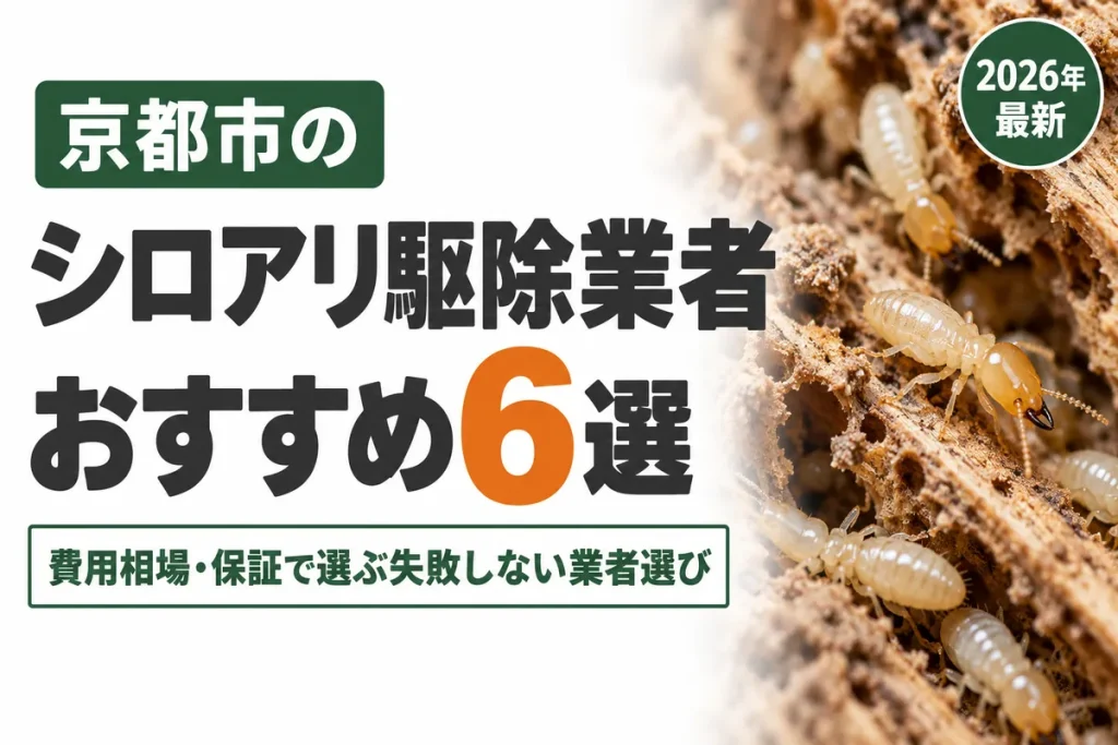 京都市のシロアリ駆除業者おすすめ6選｜費用相場・保証で選ぶ失敗しない業者選び【2026年】