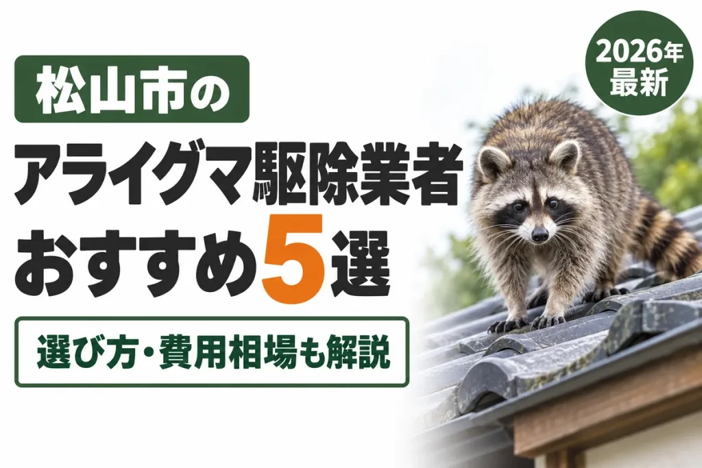 松山市のアライグマ駆除おすすめ業者5選｜選び方・費用相場も解説【2026年】
