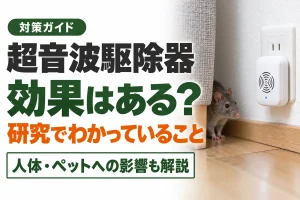 超音波のネズミ駆除器は効果ある？