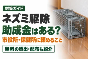 ネズミ駆除の助成金はある？市役所・保健所に頼めること
