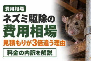 ネズミ駆除の費用相場｜「22,000円〜」と実際の見積もりが3倍違う理由