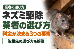 ネズミ駆除業者の選び方と費用相場｜料金が決まる3つの要素と依頼先【2026年】