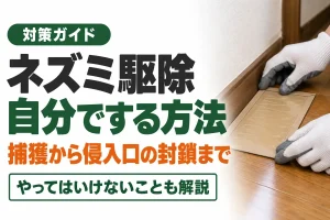 ネズミ駆除を自分でする方法
