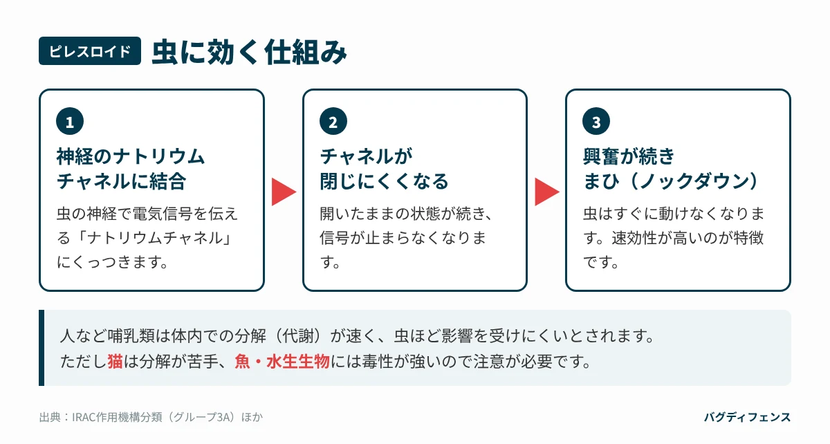 ピレスロイドが虫に効く仕組み（ナトリウムチャネルに作用しノックダウン）