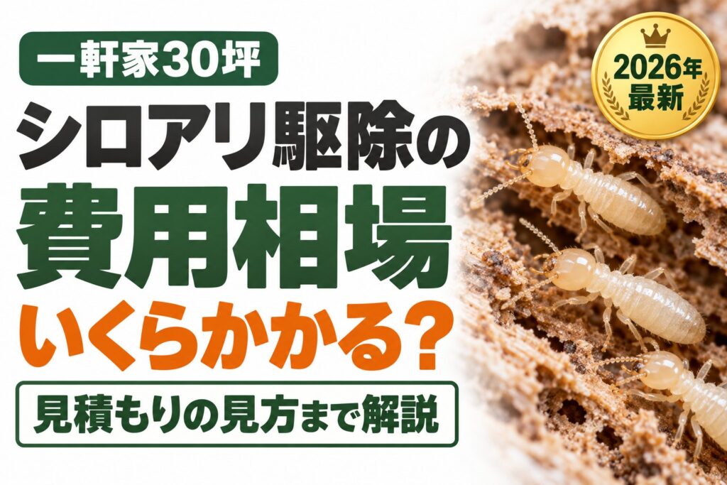 シロアリ駆除の費用相場 一軒家30坪 いくらかかる？