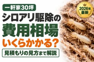 シロアリ駆除の費用相場 一軒家30坪 いくらかかる？