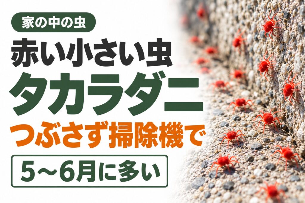 赤い小さい虫「タカラダニ」が家の中に｜刺す？害はある？見つけたときの正しい対処法