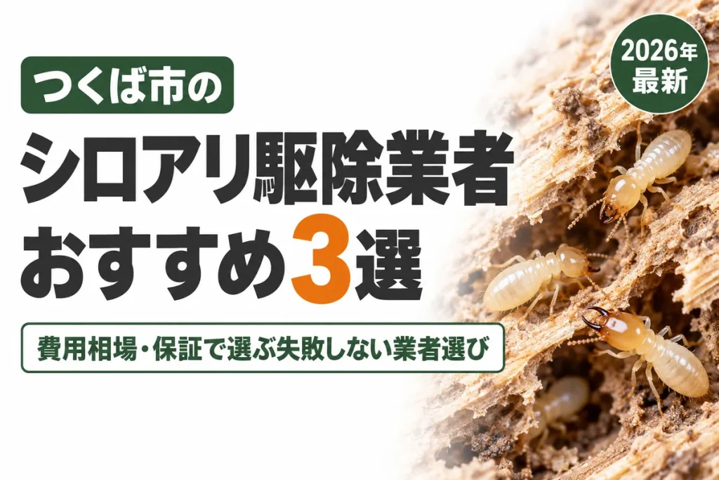 つくば市のシロアリ駆除業者おすすめ